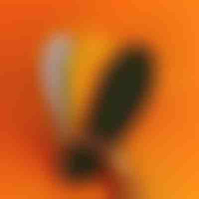 Ортопедични стелки с масажни точки | STEPEASE